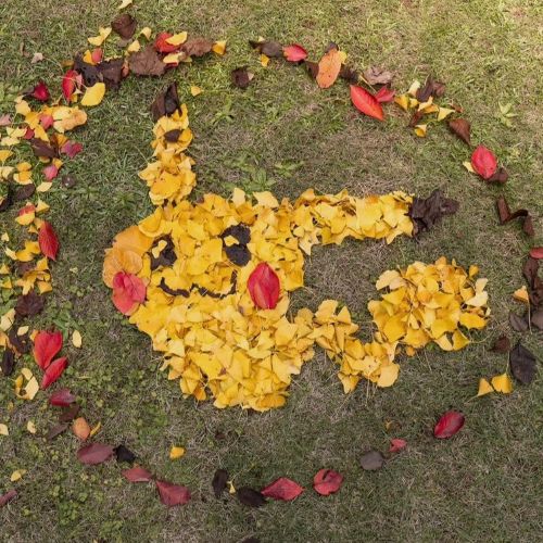 dramathomas的头像-新房子